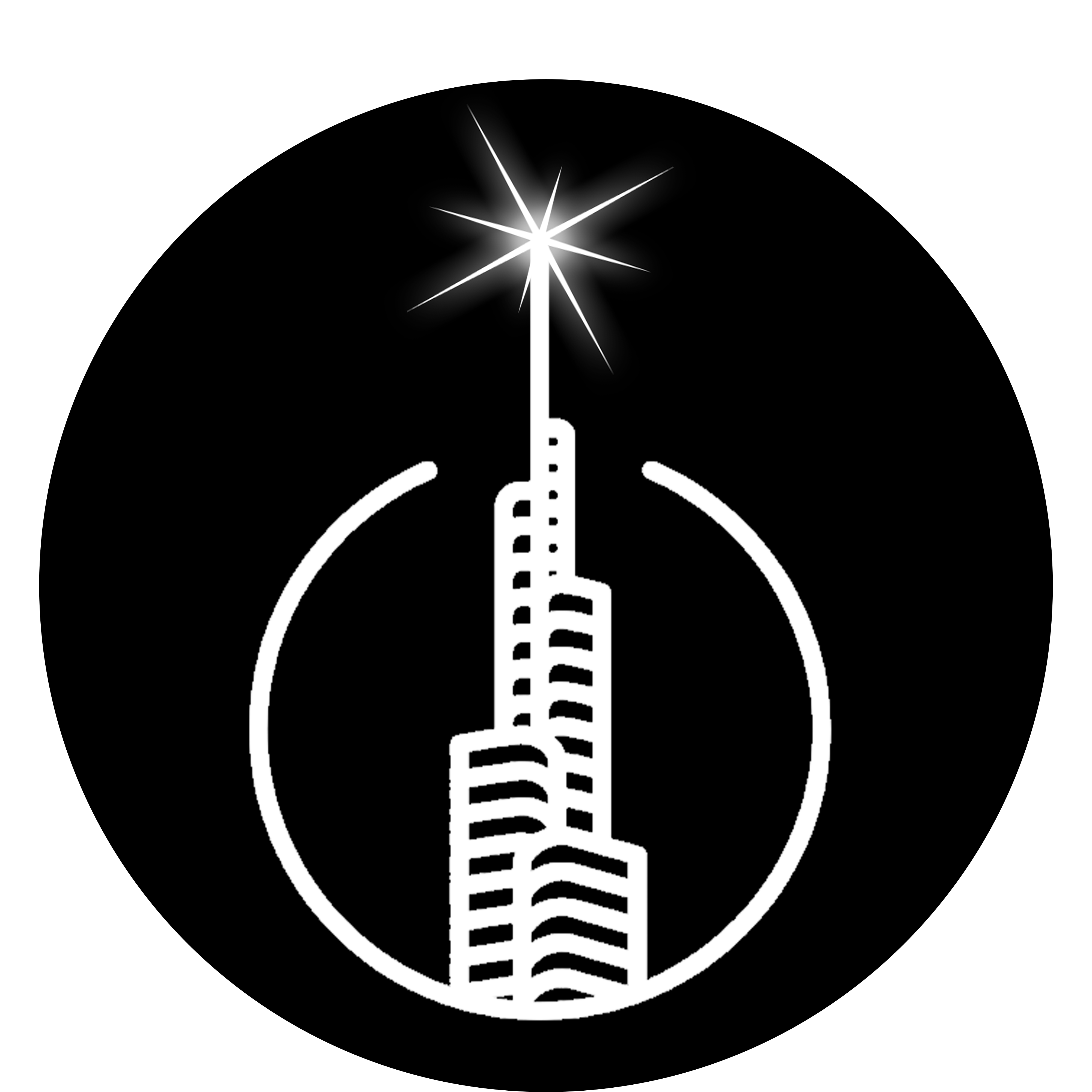 ShinyAcquisition Logo